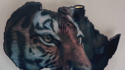 African wall mount (Focus)